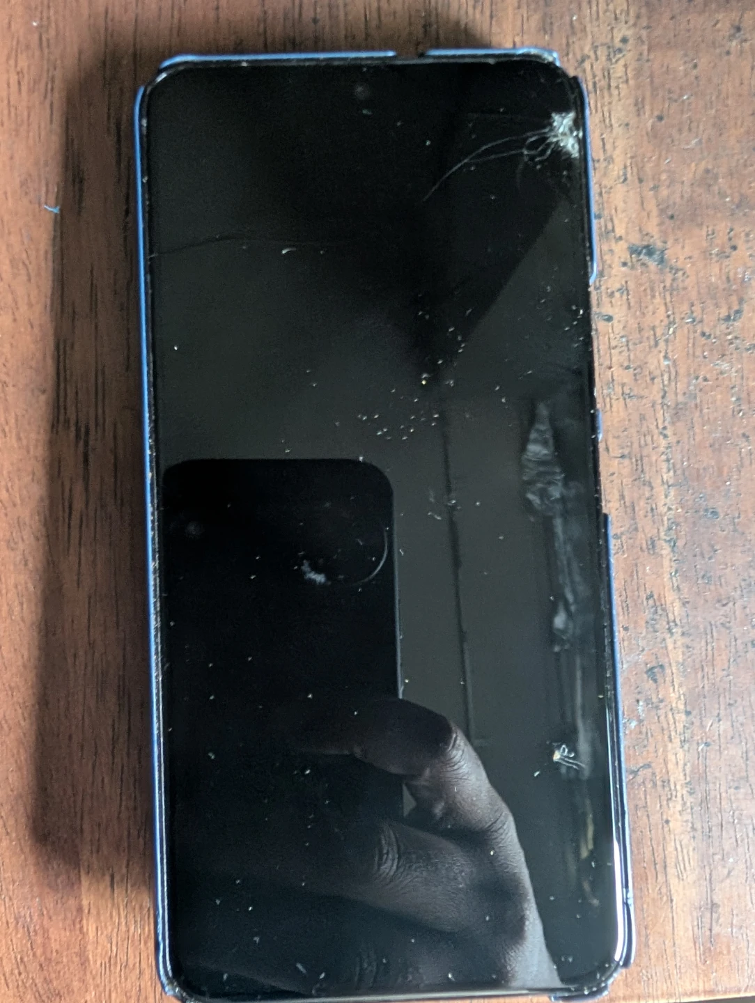 Samsung s22 Smartphone(black screen)