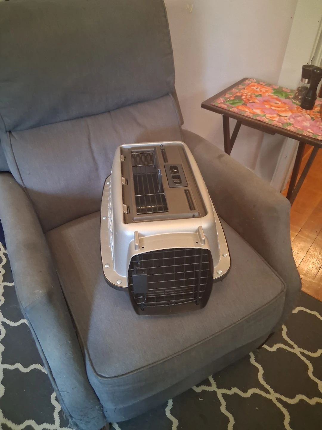 Pet Carrier