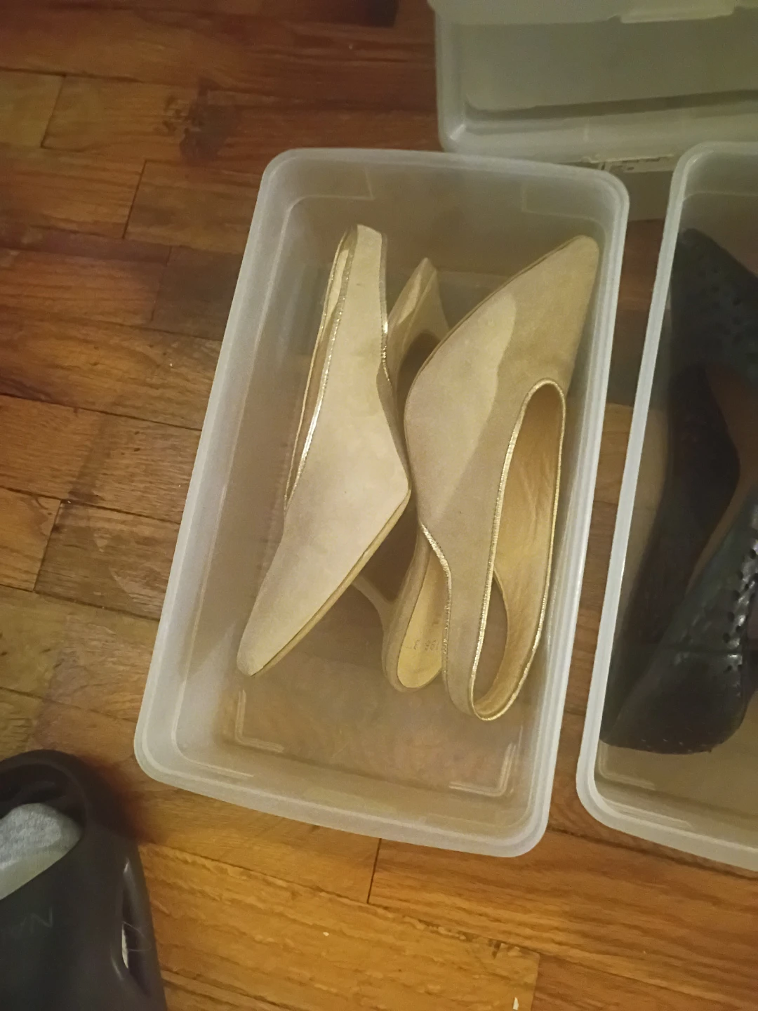 Suede Pumps with Gold Trim