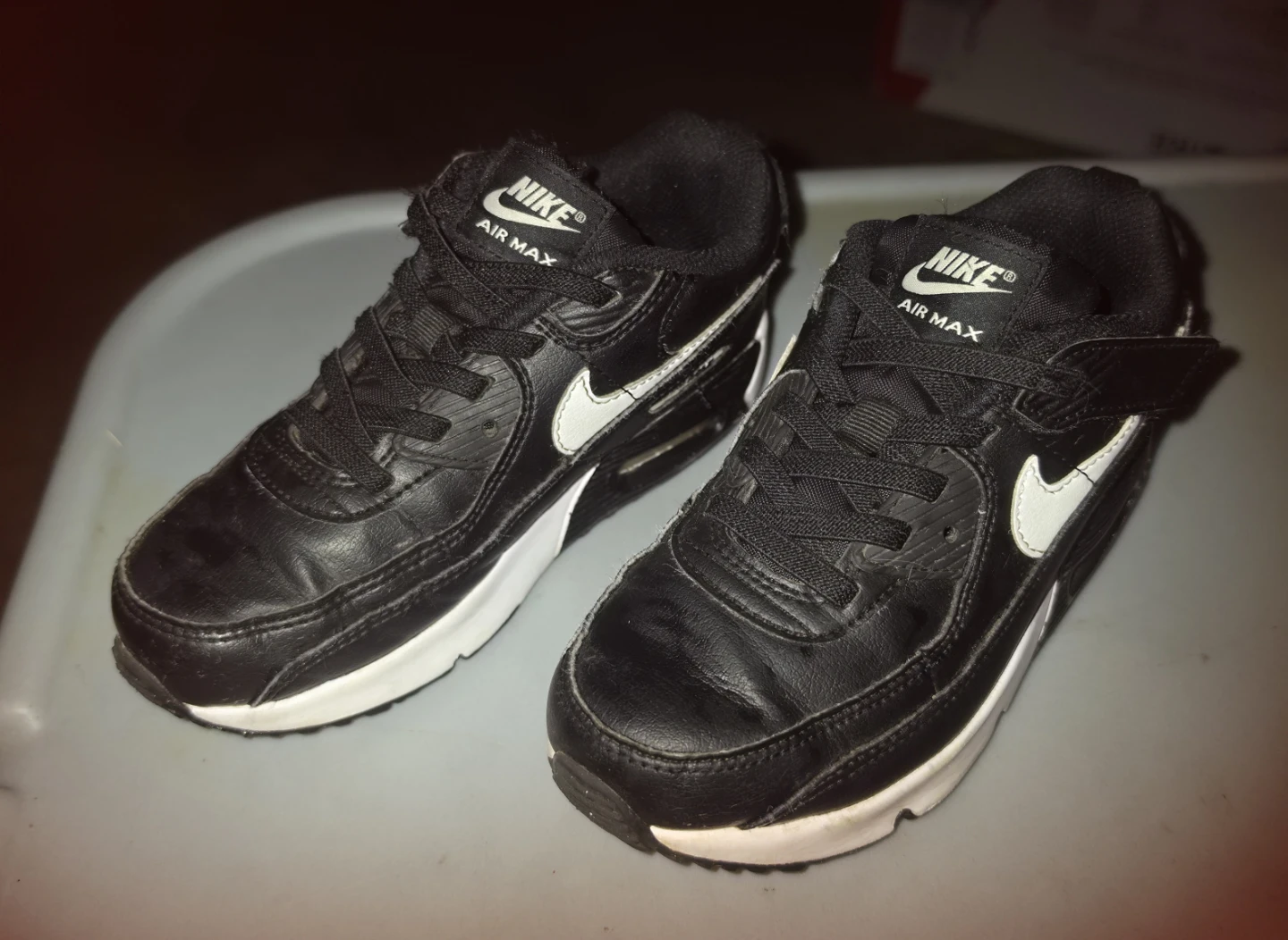 Nike Air Max Shoes
