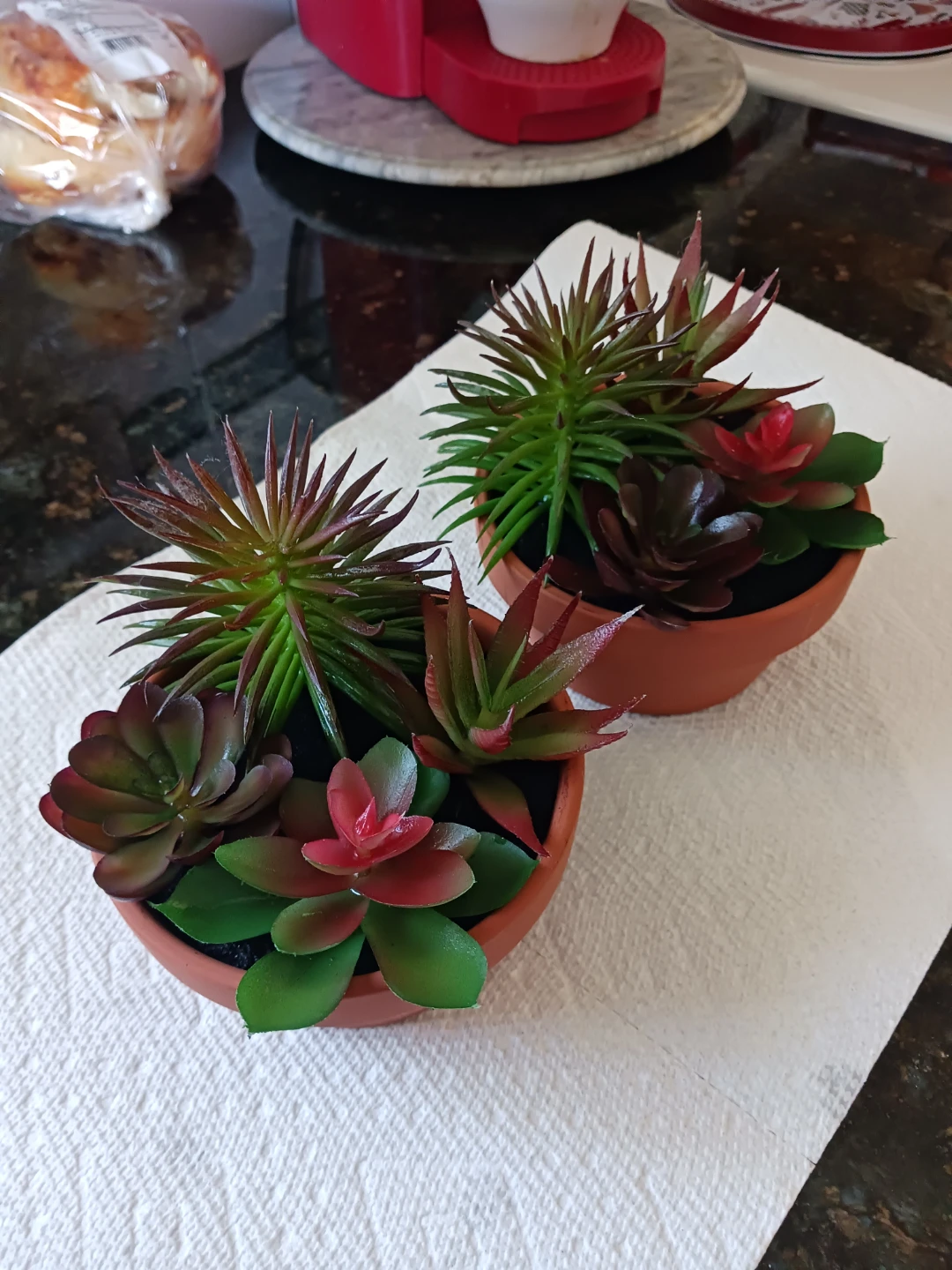 Artificial Succulent Plant Arrangement - photo 4