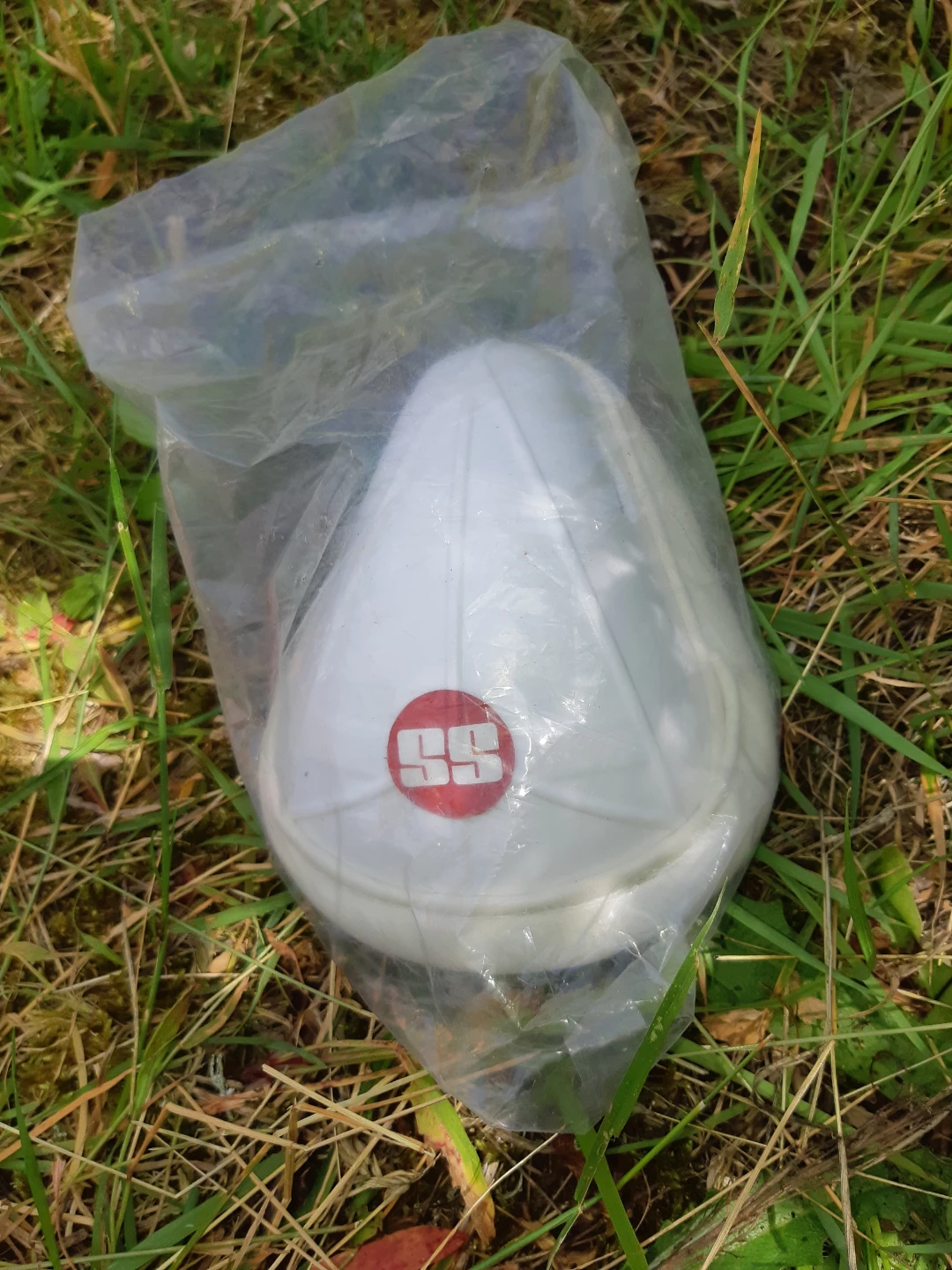 SS Cricket Batting Gloves and Inner Cap - photo 3