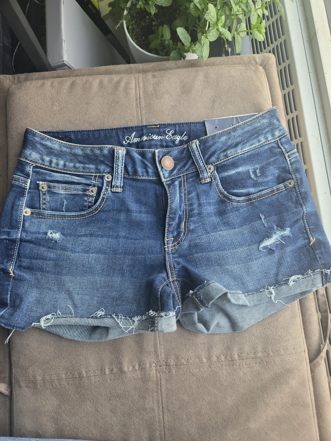 American Eagle Size 6