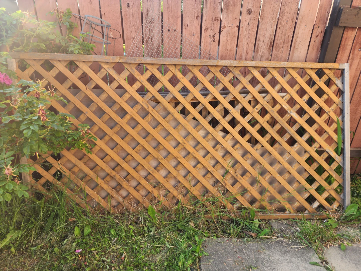 Free 2x2 and 4x4 and other