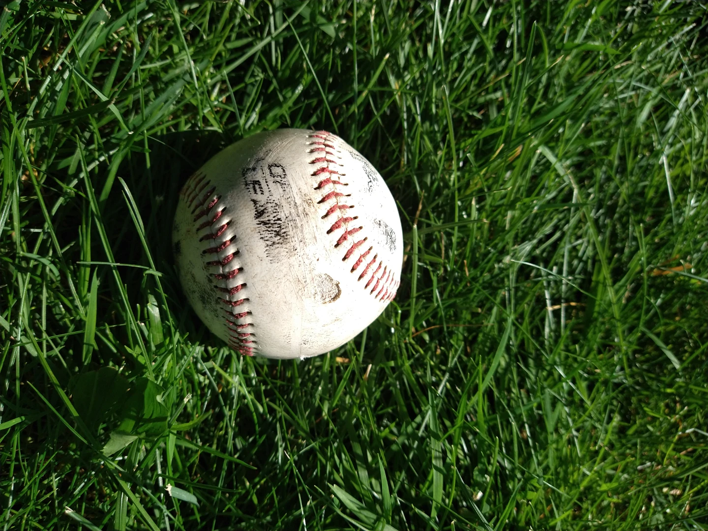 Official League Baseball