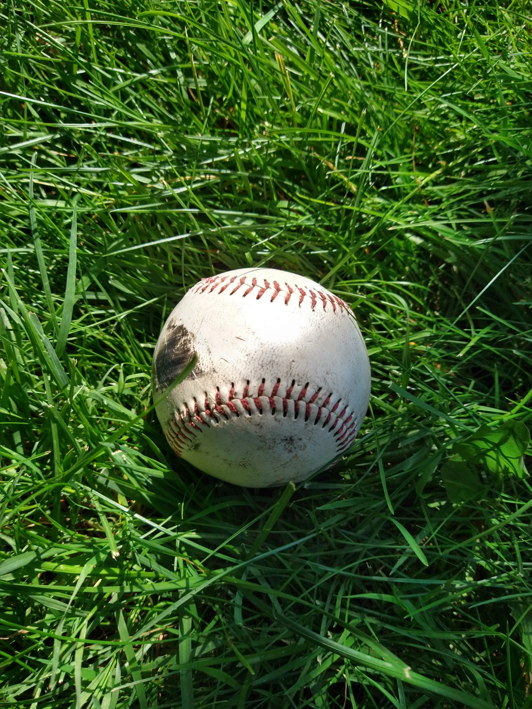 Official League Baseball - photo 2