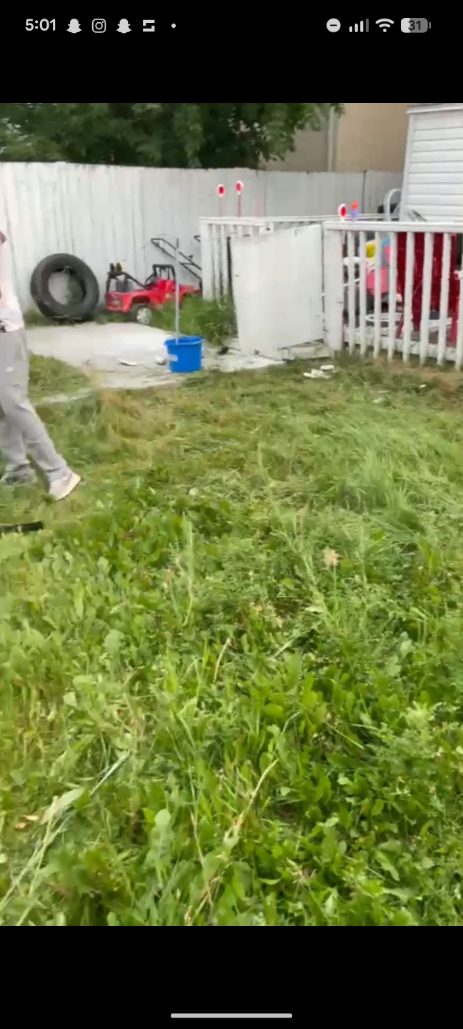 LAWN MOWING