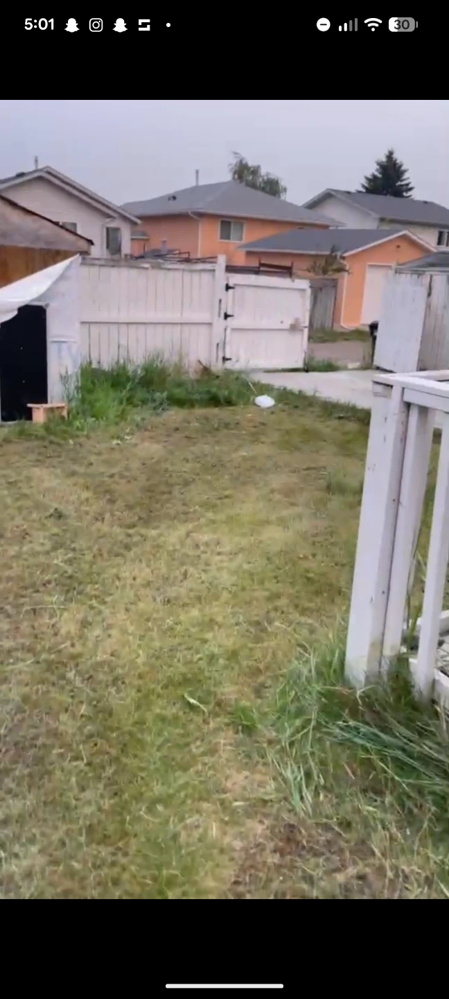 LAWN MOWING - photo 2