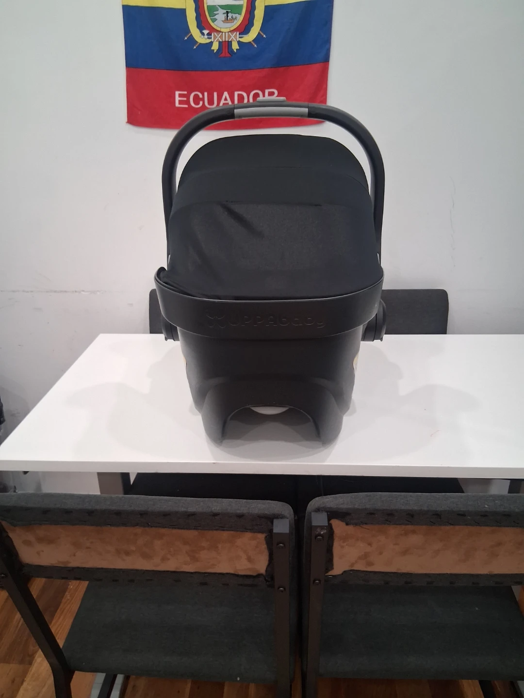 UPPAbaby MESA Infant Car Seat - photo 3