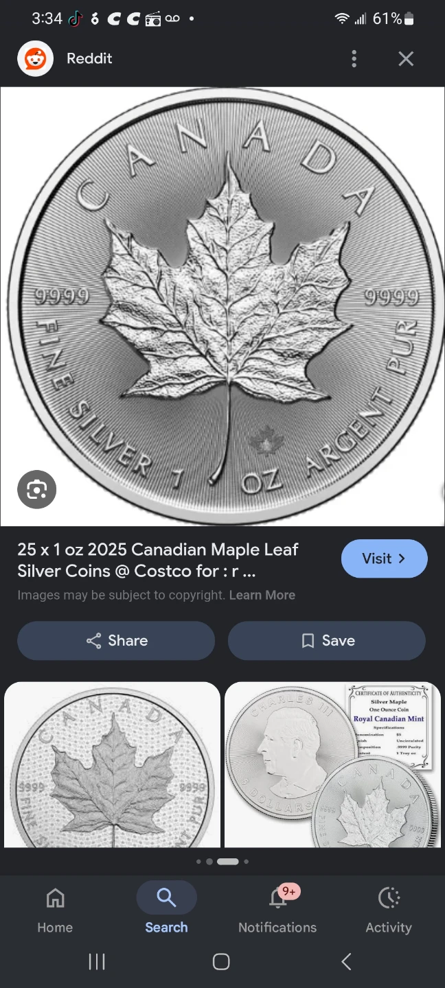 2025 Canadian Maple Leaf Silver Coin - 1 oz - photo 3