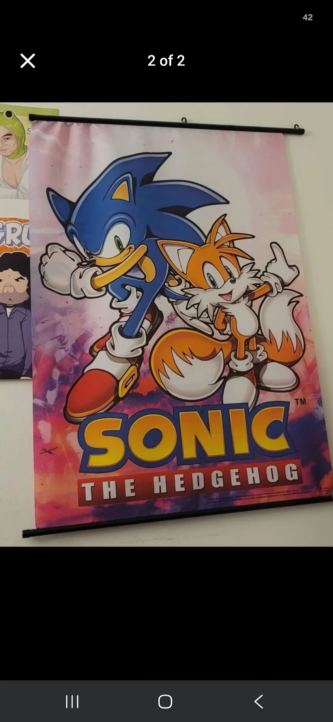 2 wall scrolls: sonic/tails and knuckles