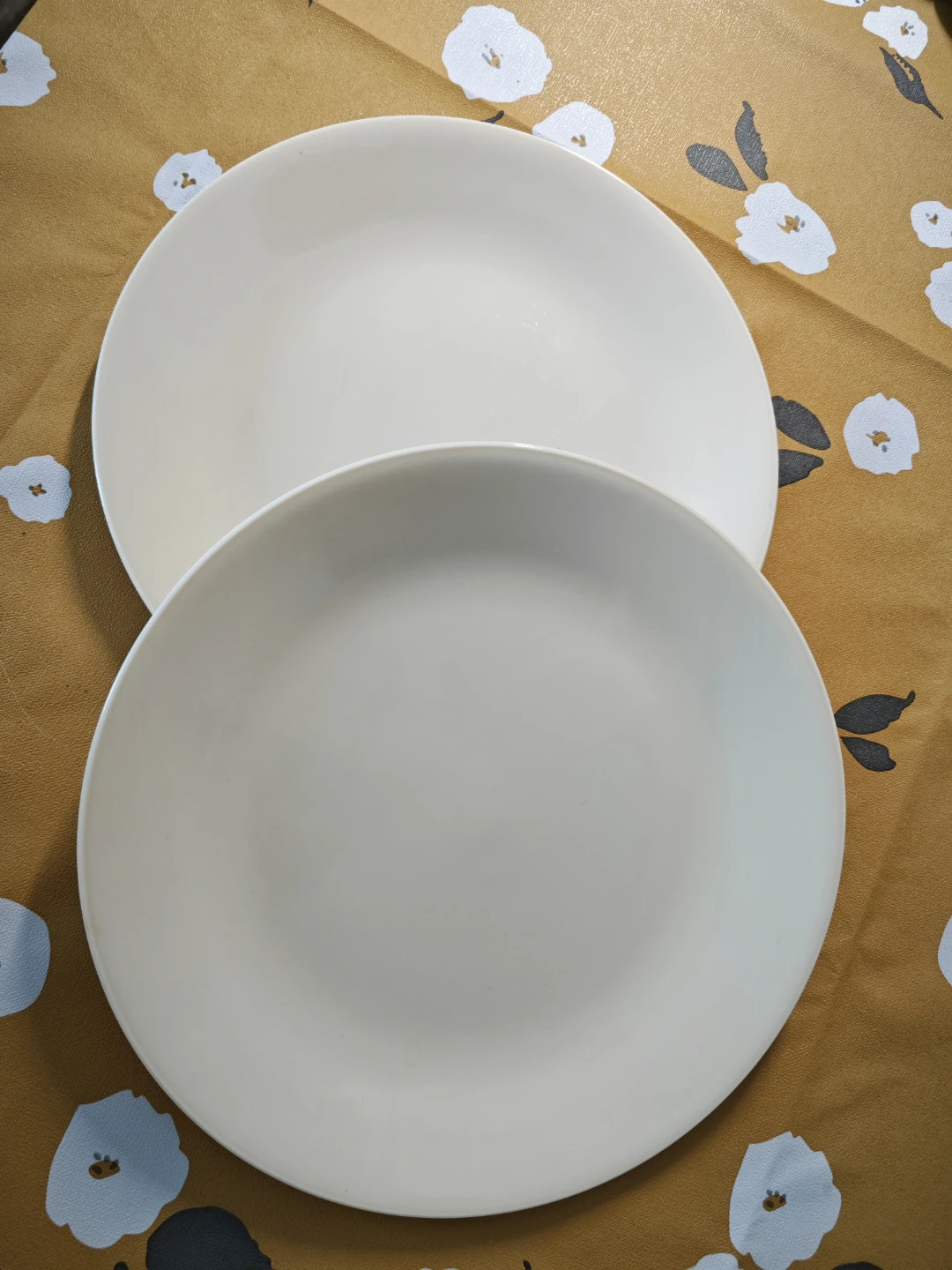 Corelle Vitrelle Dinner Plates (Set of 2)