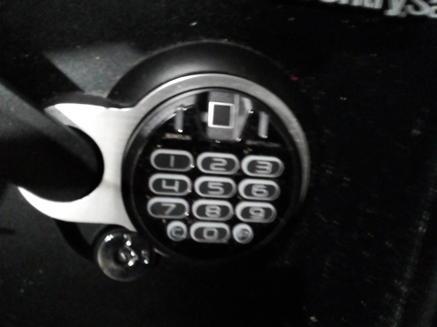 Sentrysafe electronic fire andwater proof biometric Safe - photo 2