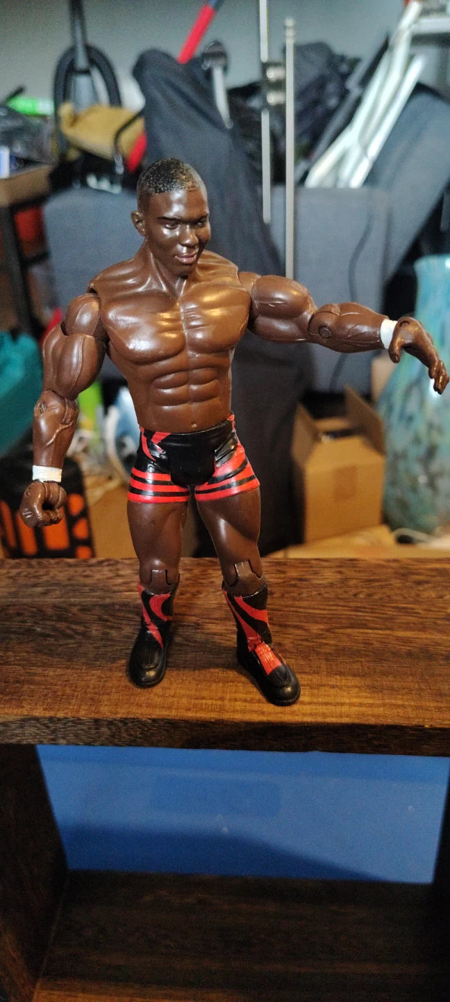 Wrestling Action Figure