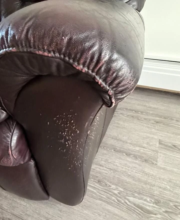 Brown Leather Reclining Sofa - photo 3