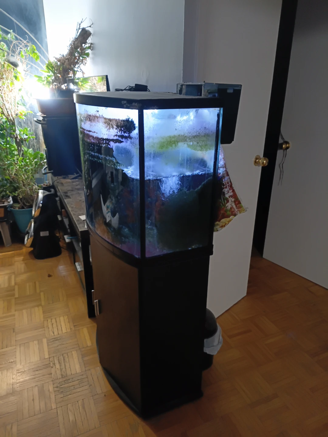 Fish Tank with Stand
