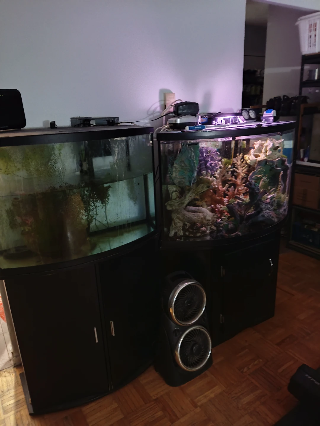 Fish Tank with Stand - photo 2