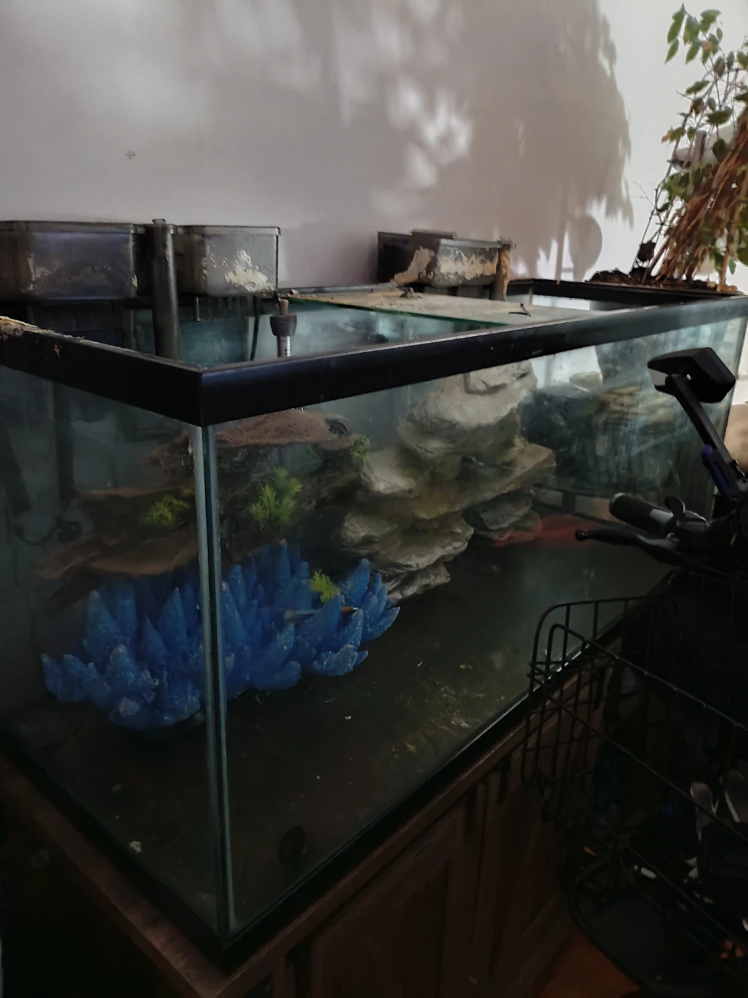 Fish Tank with Stand - photo 3
