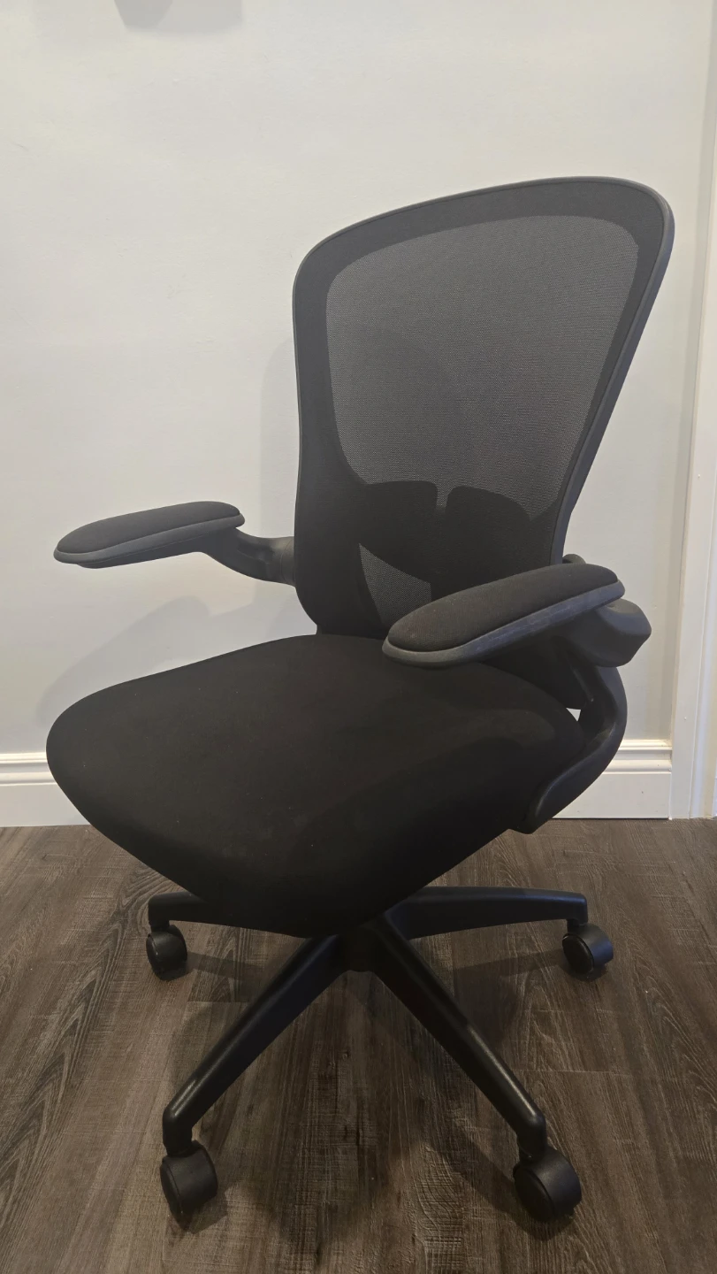 Ergonomic Black Mesh Office Chair