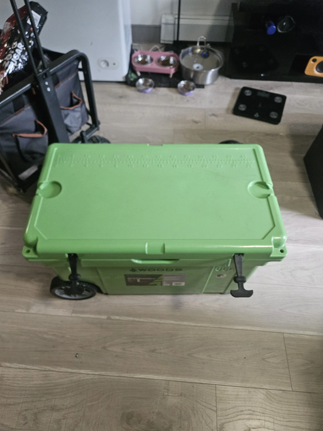 Woods 65L cooler on wheels