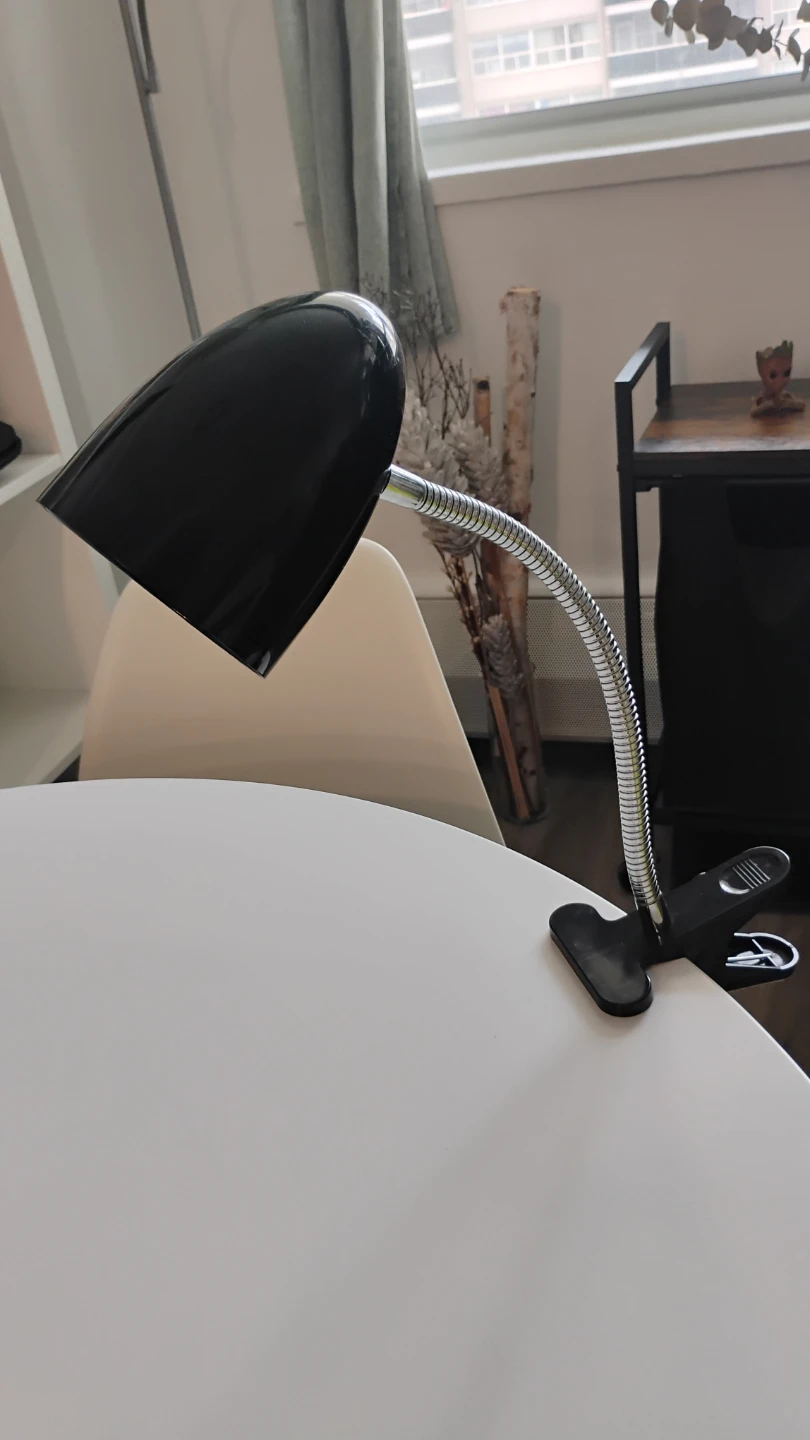 Black Clip-On Gooseneck Lamp