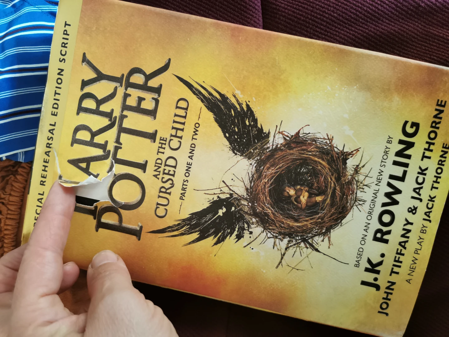 Harry Potter and the Cursed Child Rehearsal Edition Script - photo 2