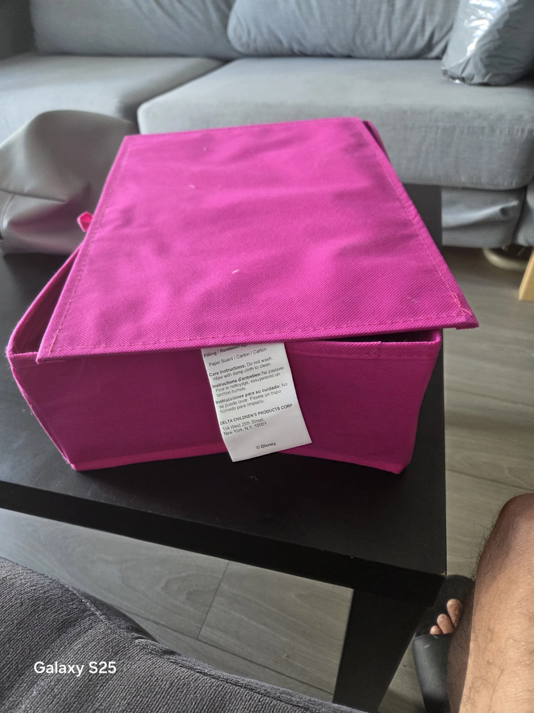 Delta Children Storage Box