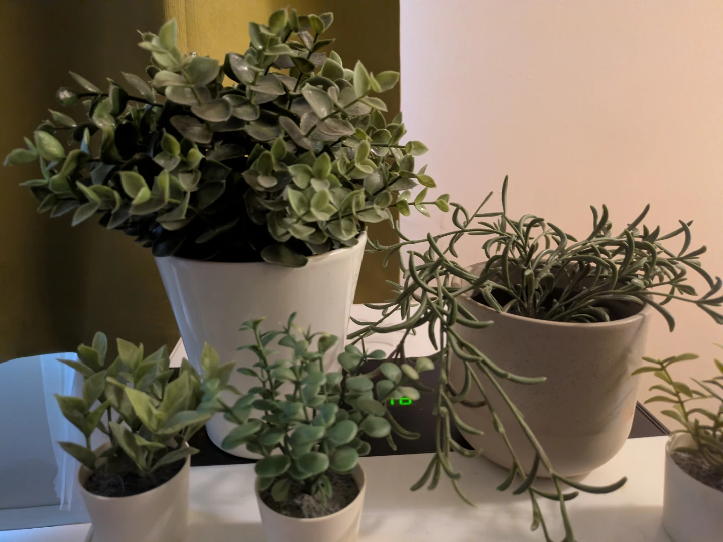 9 Artificial Plants - photo 4