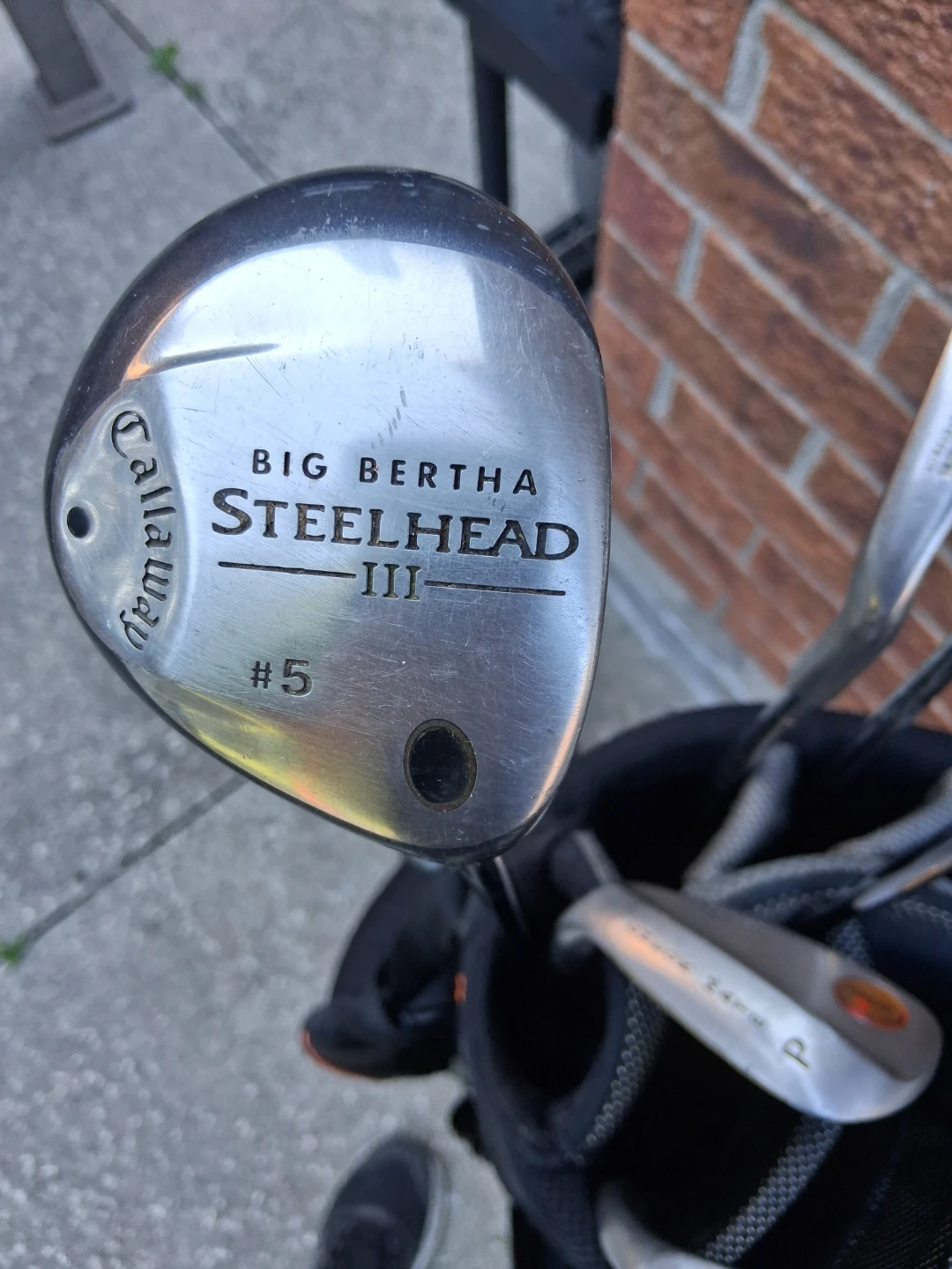Golf clubs - photo 3