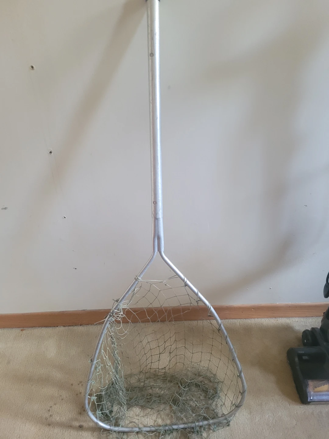 Fish net