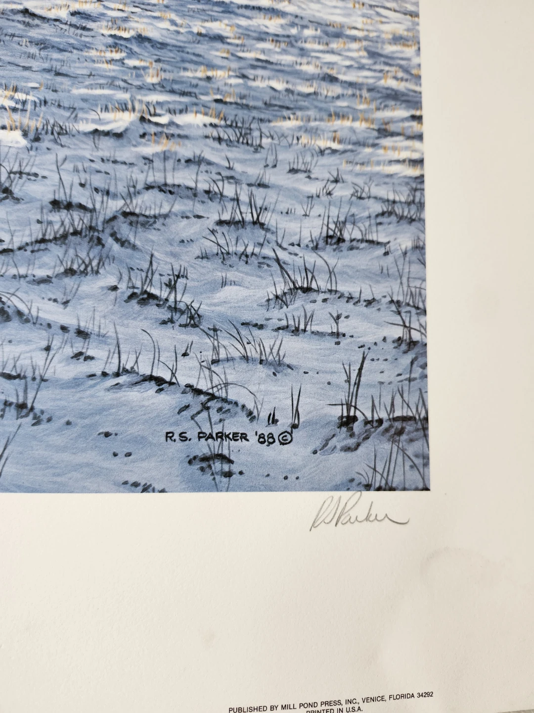 UNFRAMED ART PRINT - photo 3