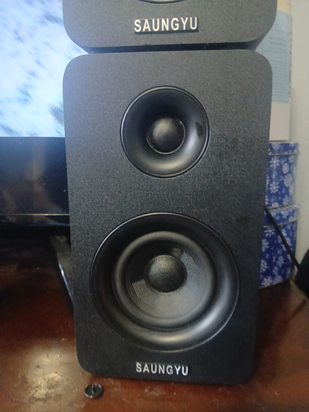 SAUNGYU SW208 Bookshelf Speakers - photo 2