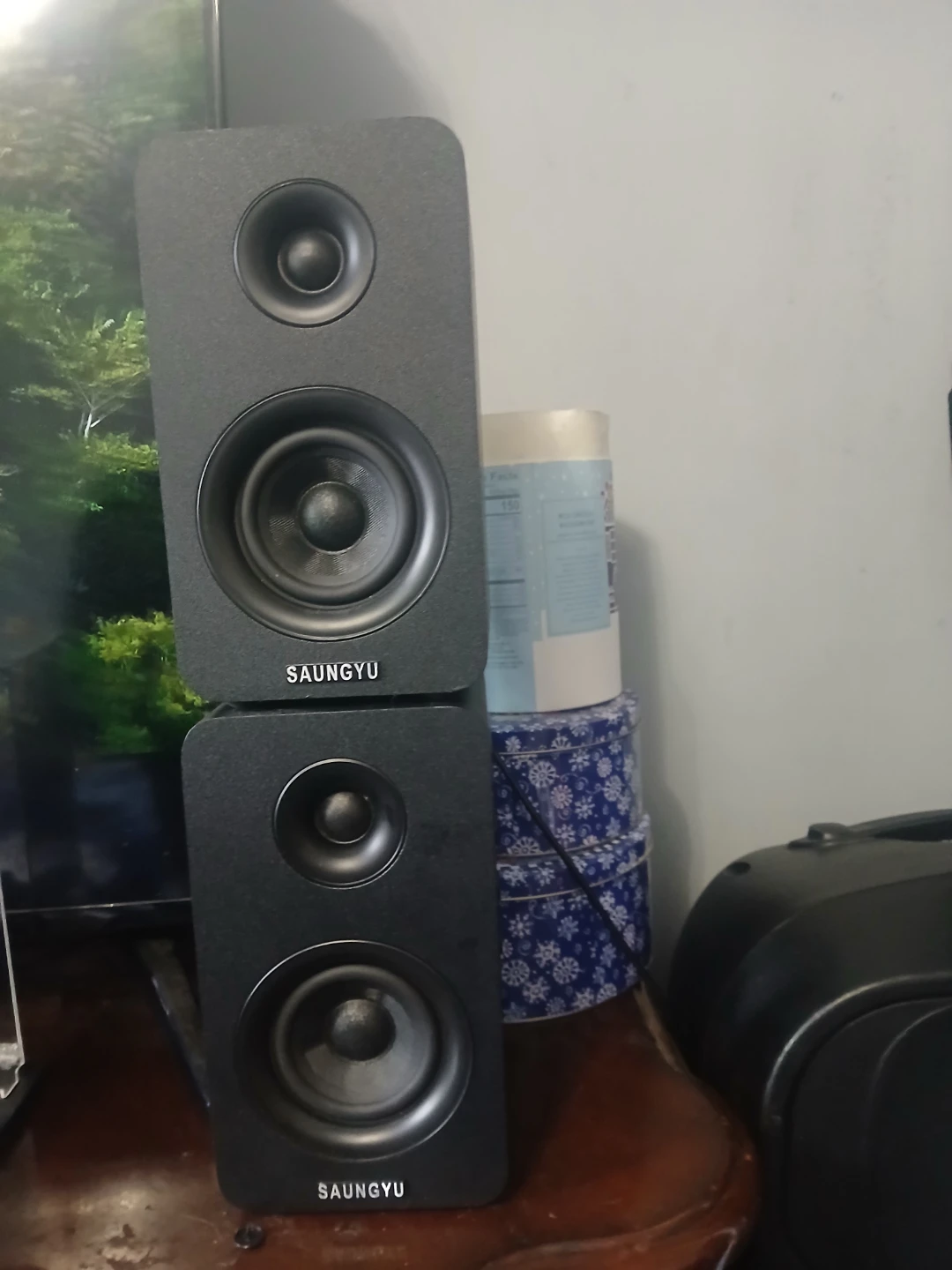 SAUNGYU SW208 Bookshelf Speakers - photo 3
