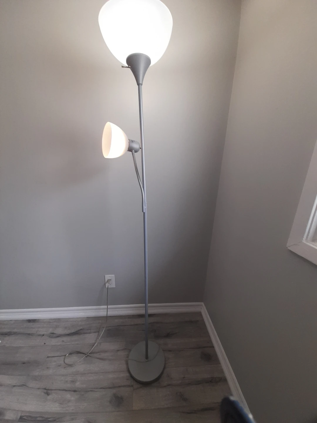 Floor Lamp with Dual Lights
