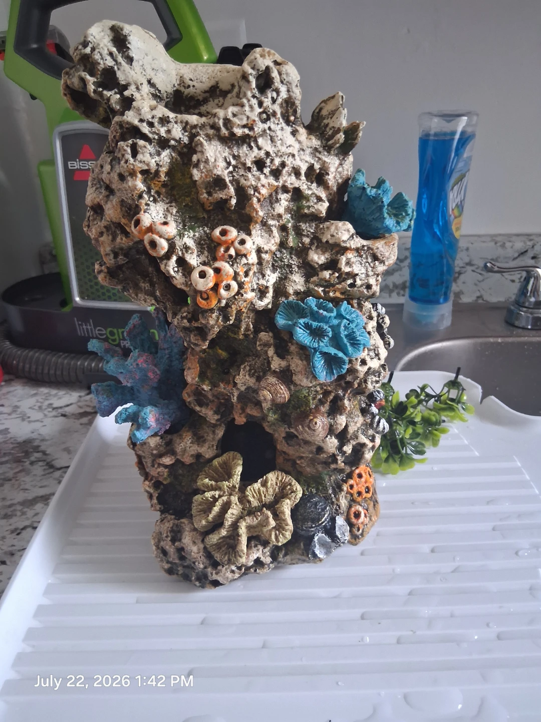 Aquarium Rock Decor with Coral