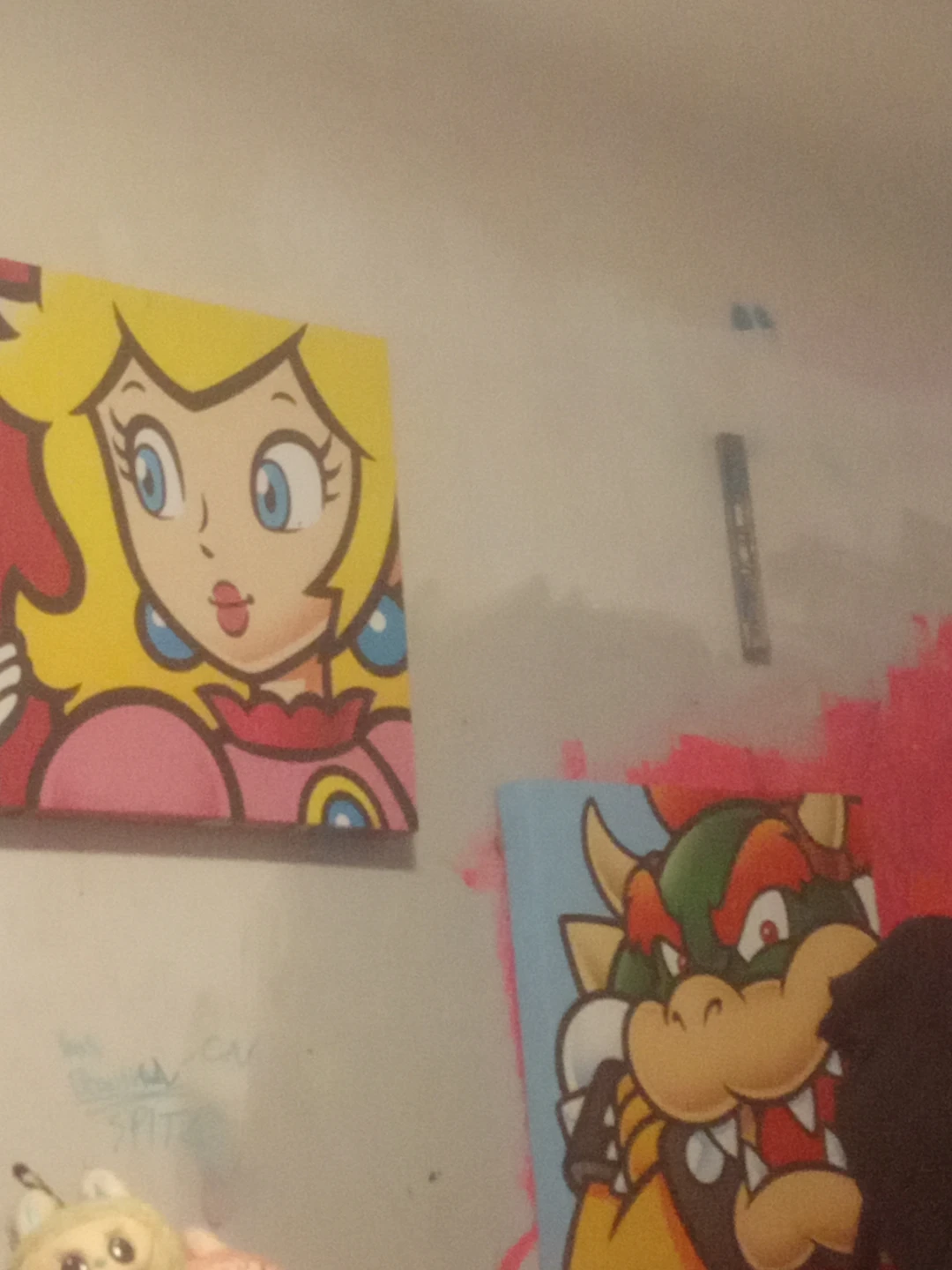 Super Mario Princess Peach and Bowser Canvas Art