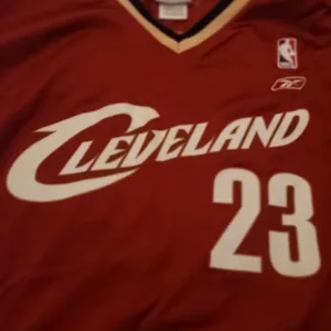 Various NBA Jerseys LeBron, Miller, Raptors Any 2/$40