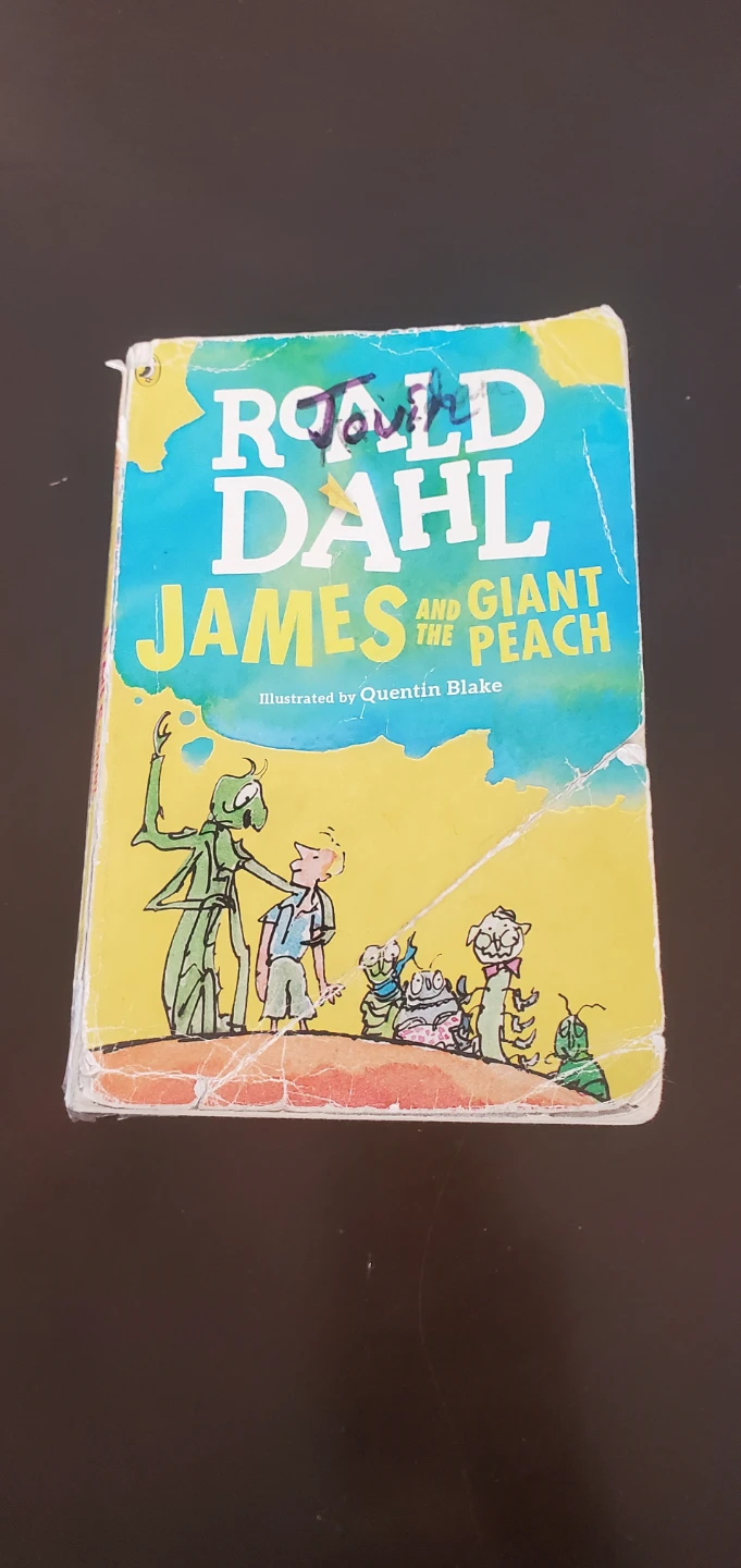 Roald Dahl James and the Giant Peach Book