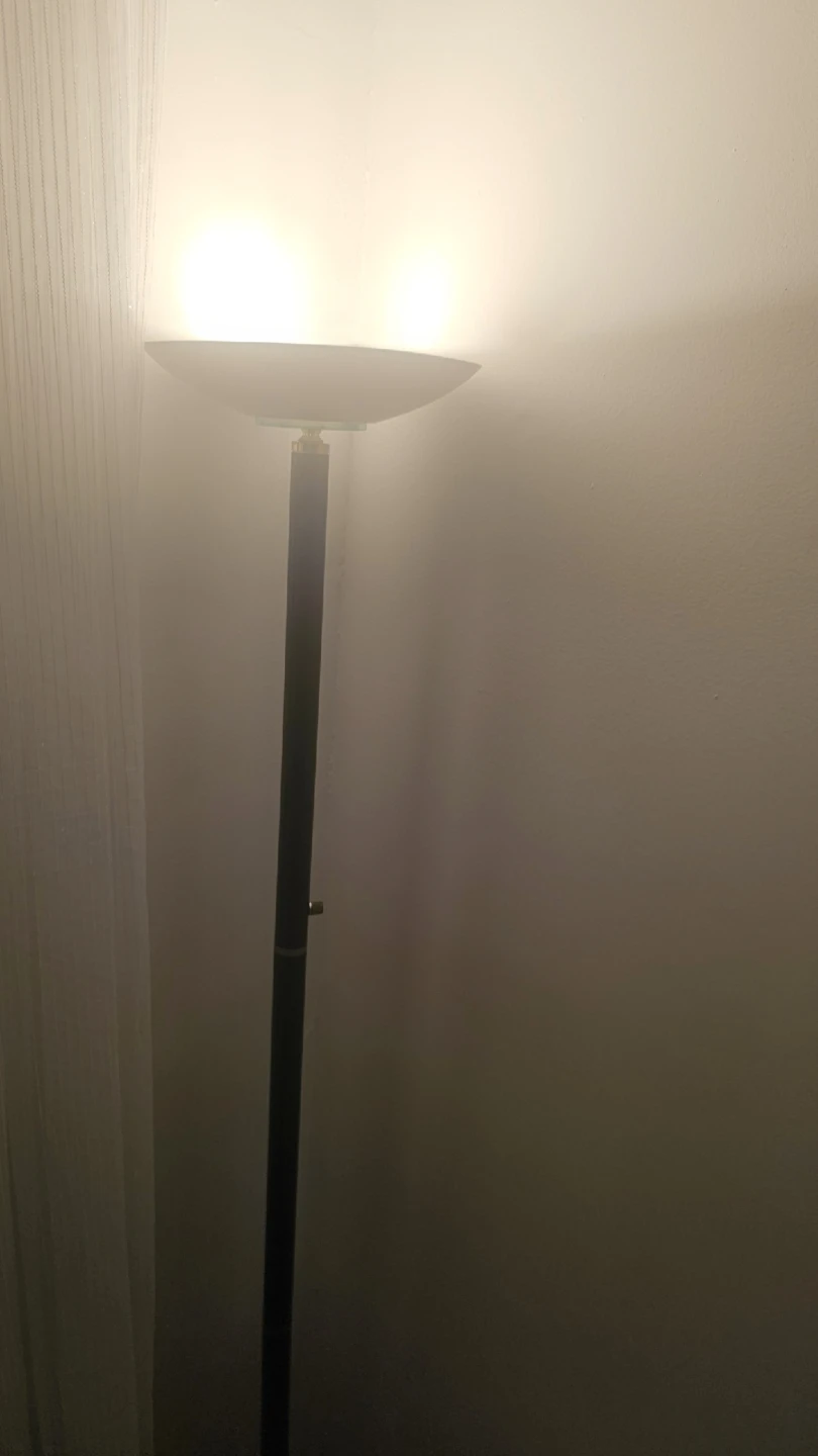 Black Floor Lamp with Frosted Shade - photo 4