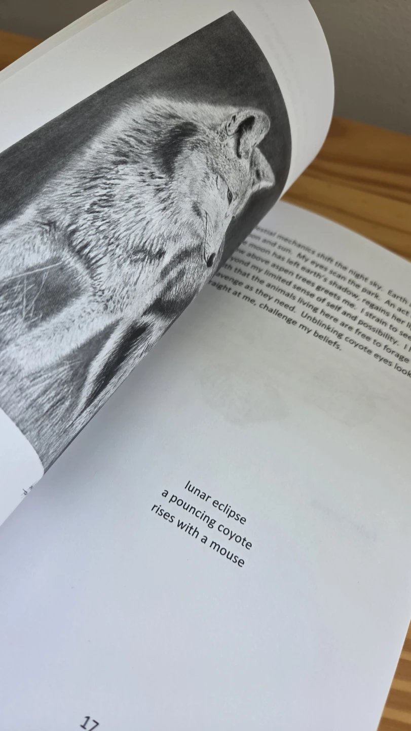 Poem books, As Feathers Fall Anthology & On the Prairie Fringe - photo 2