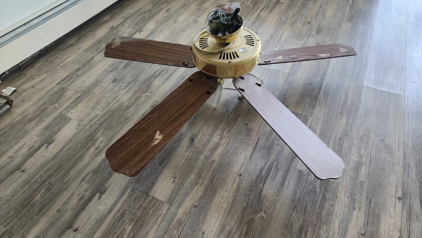 Ceiling Fan with Lights