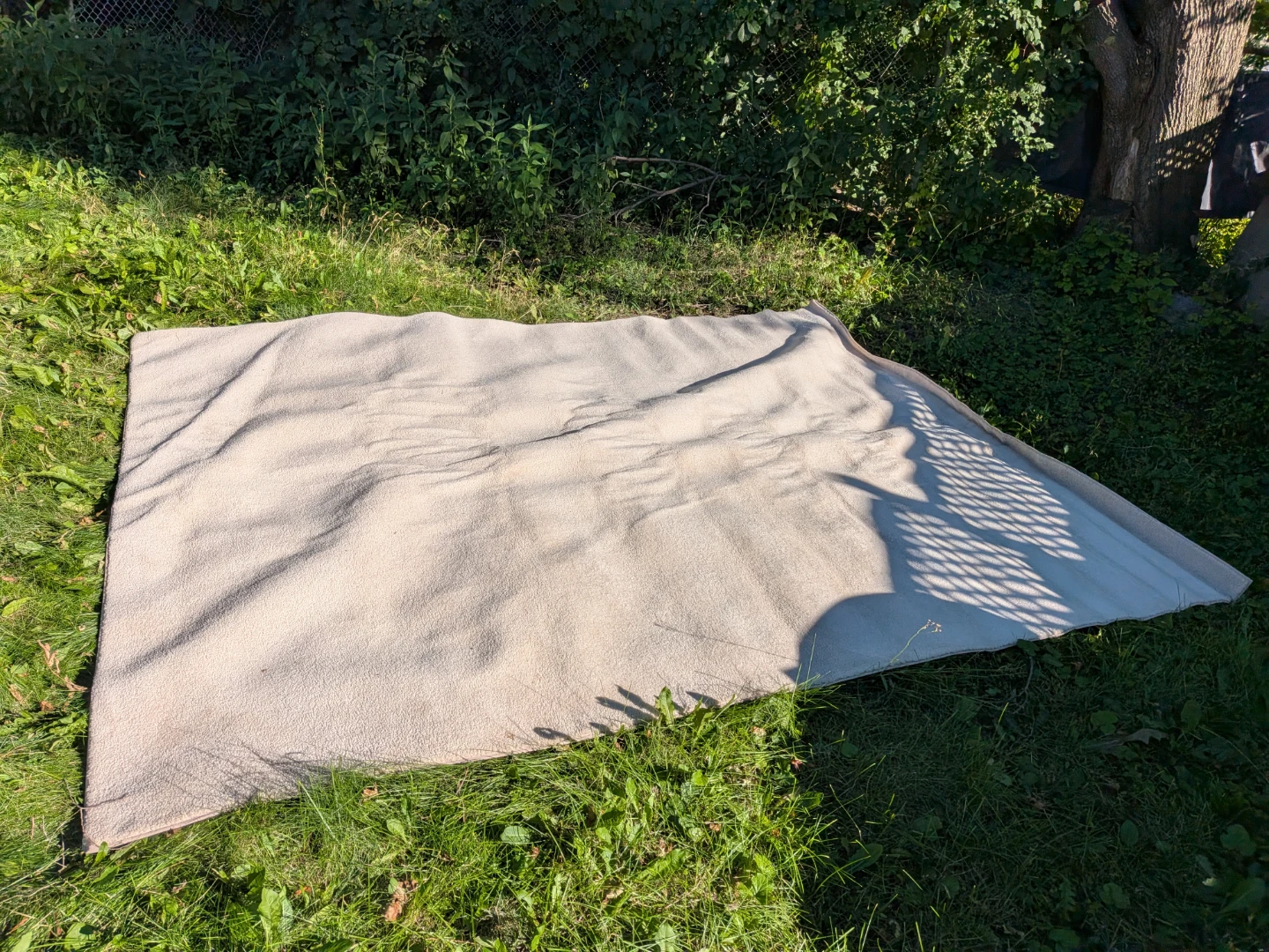 Large cream white rug, short pile