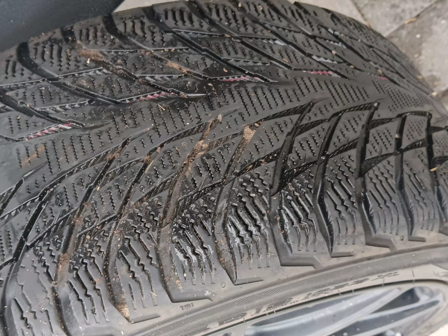 Tire - photo 4