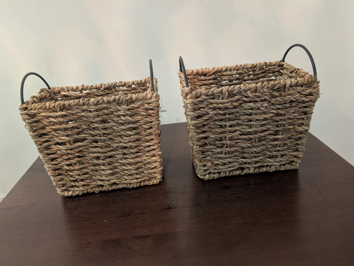 Woven Storage Baskets with Handles (Set of 2)