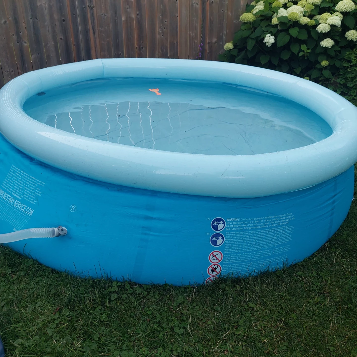 Blue Inflatable Family Pool with Filter Pump