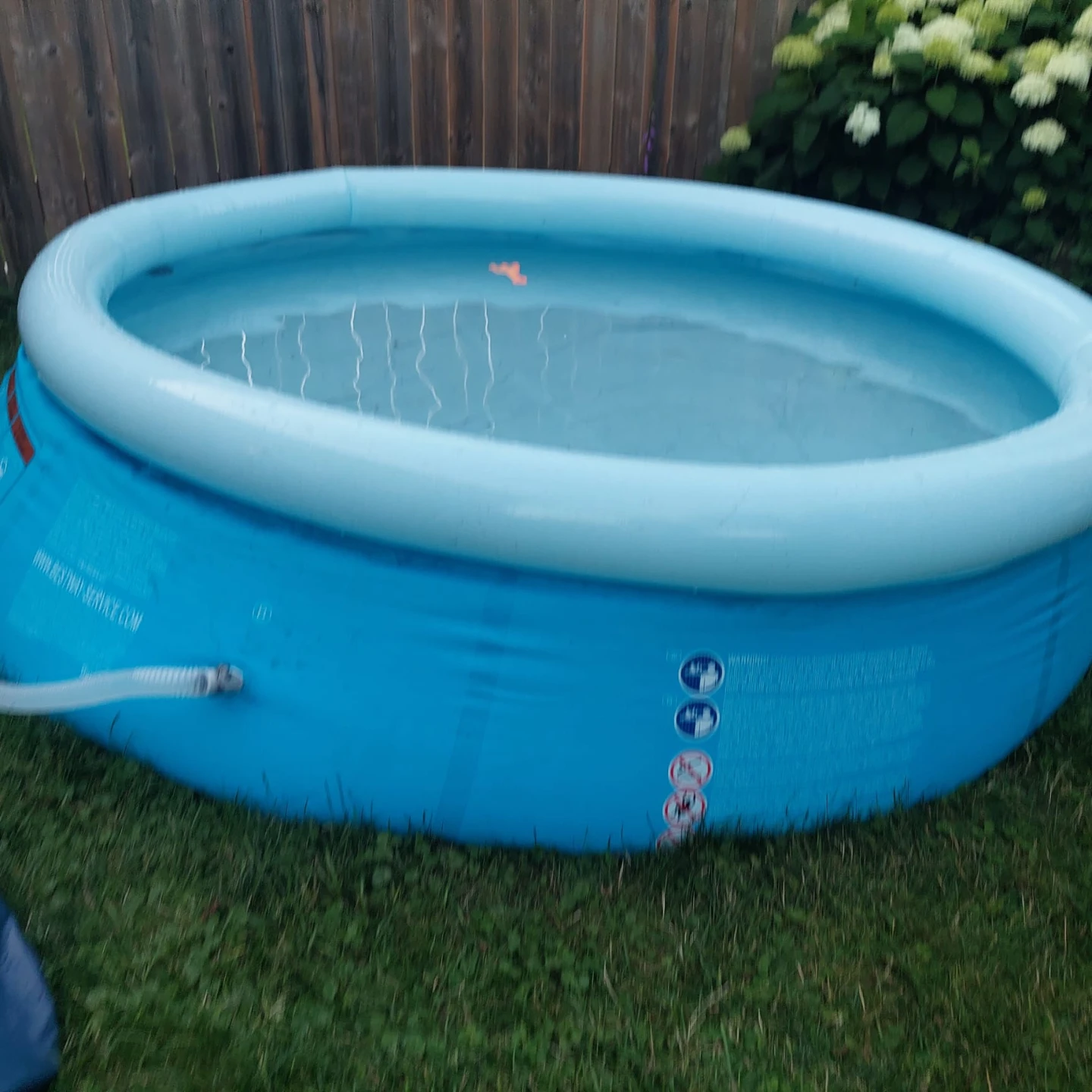 Blue Inflatable Family Pool with Filter Pump - photo 2