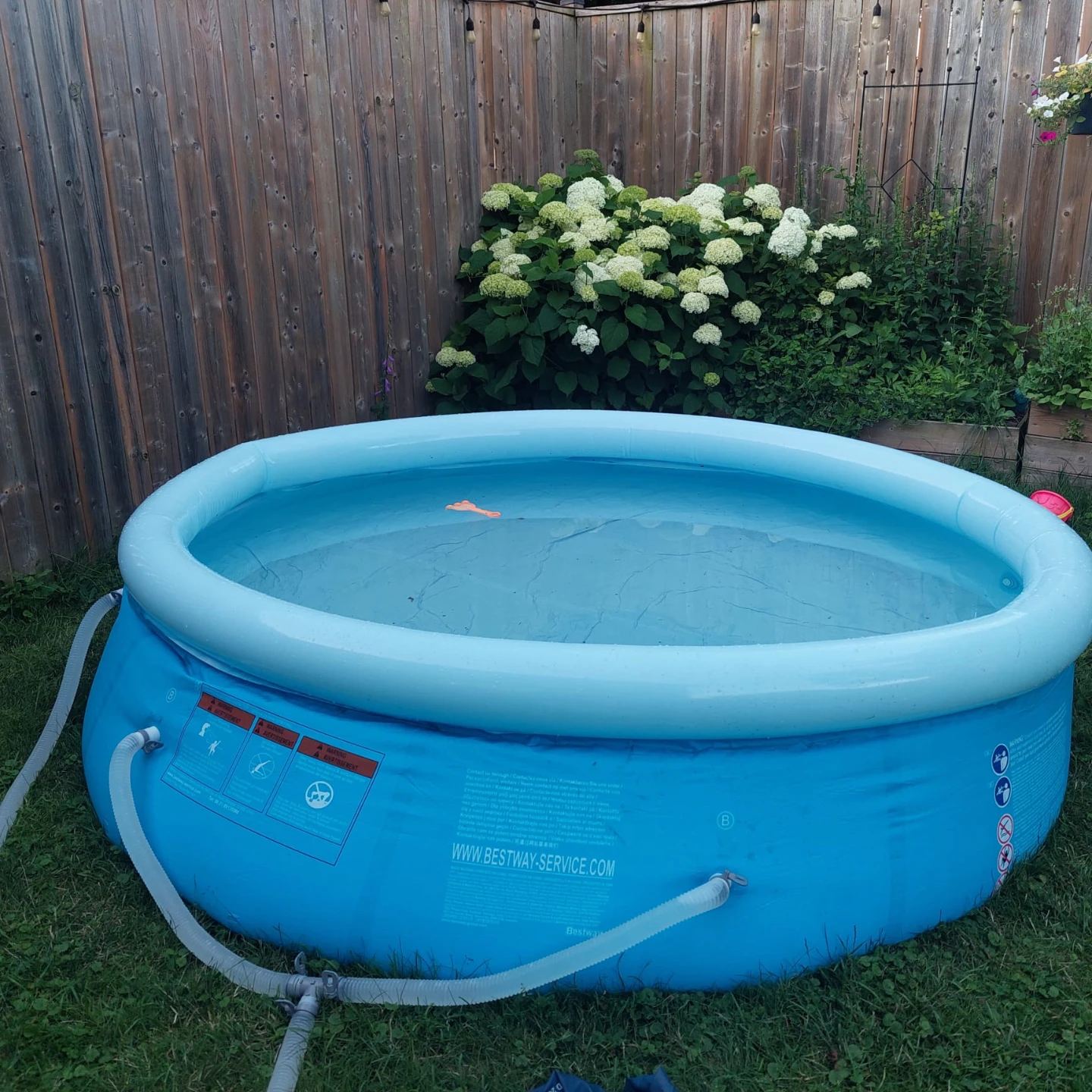 Blue Inflatable Family Pool with Filter Pump - photo 3