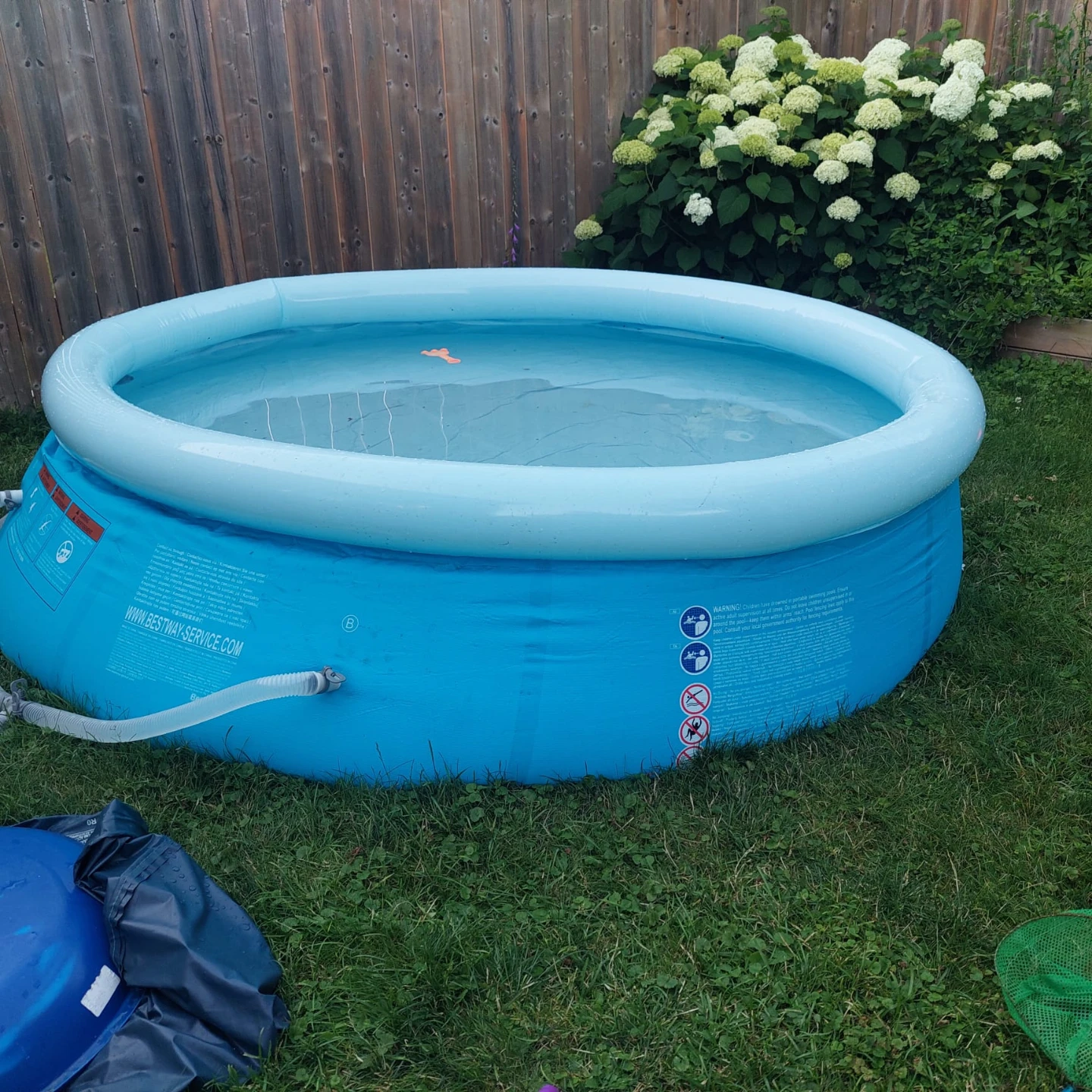Blue Inflatable Family Pool with Filter Pump - photo 5