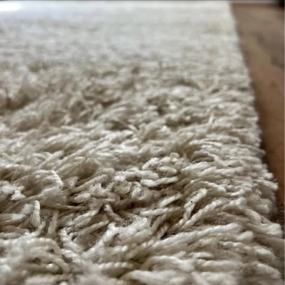 Comfortable Ivory White Shag Rug