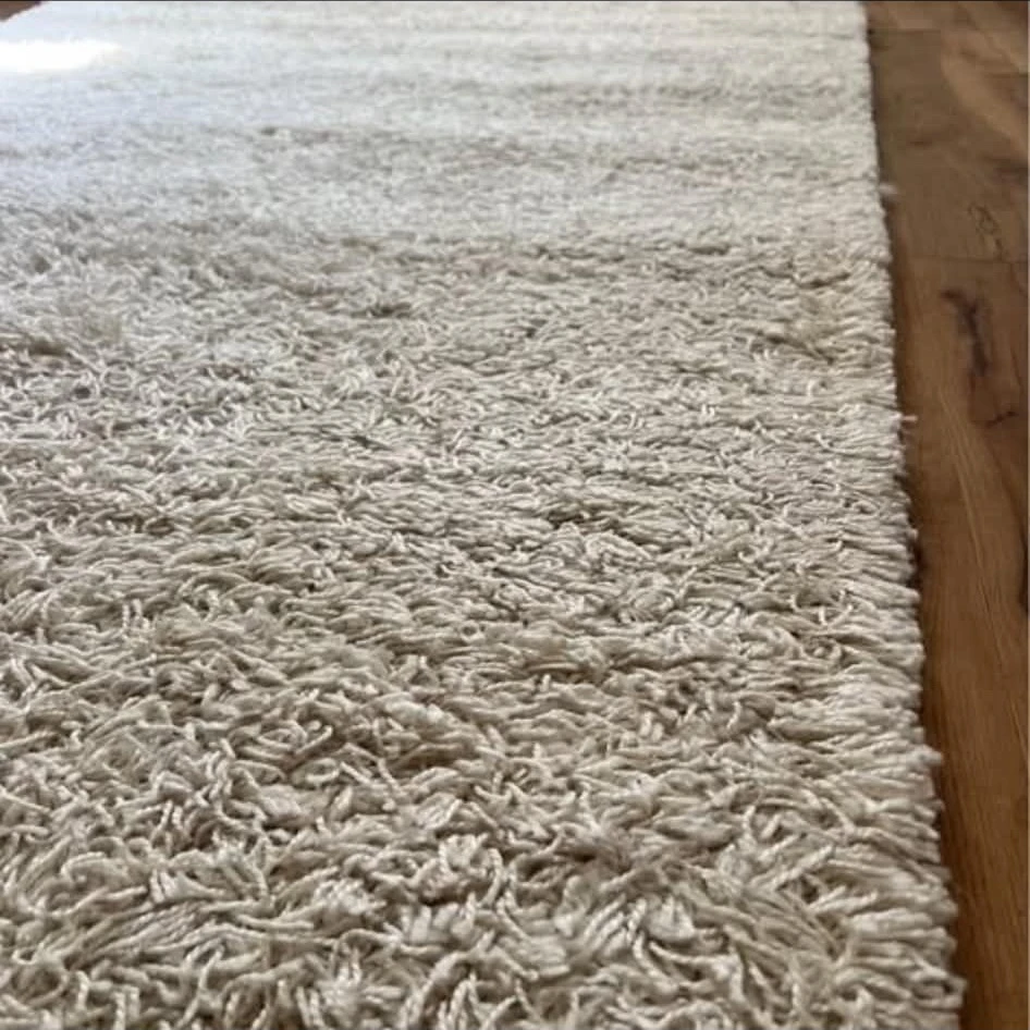 Comfortable Ivory White Shag Rug - photo 2